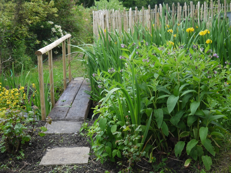 Cefn Cribwr Garden Club